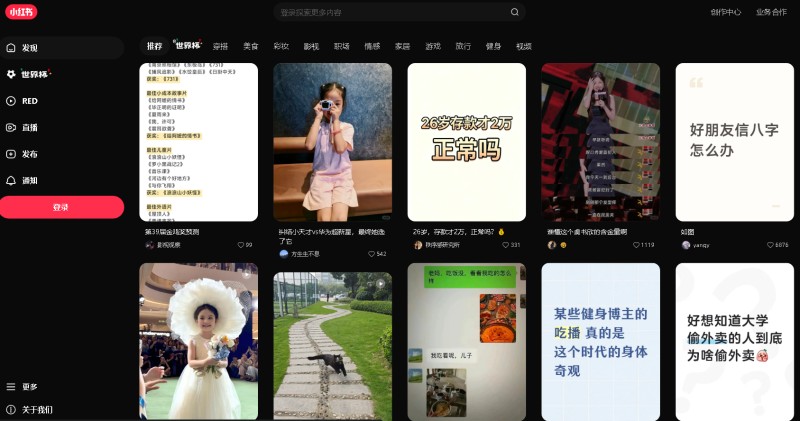 RedNote / 小红书 > www.xiaohongshu.com
